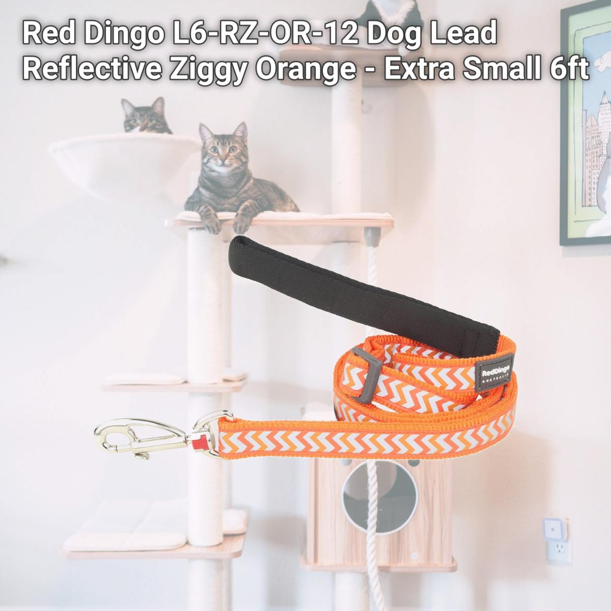 Picture of Red Dingo L6-RZ-OR-12 Dog Lead Reflective Ziggy Orange - Extra Small 6ft