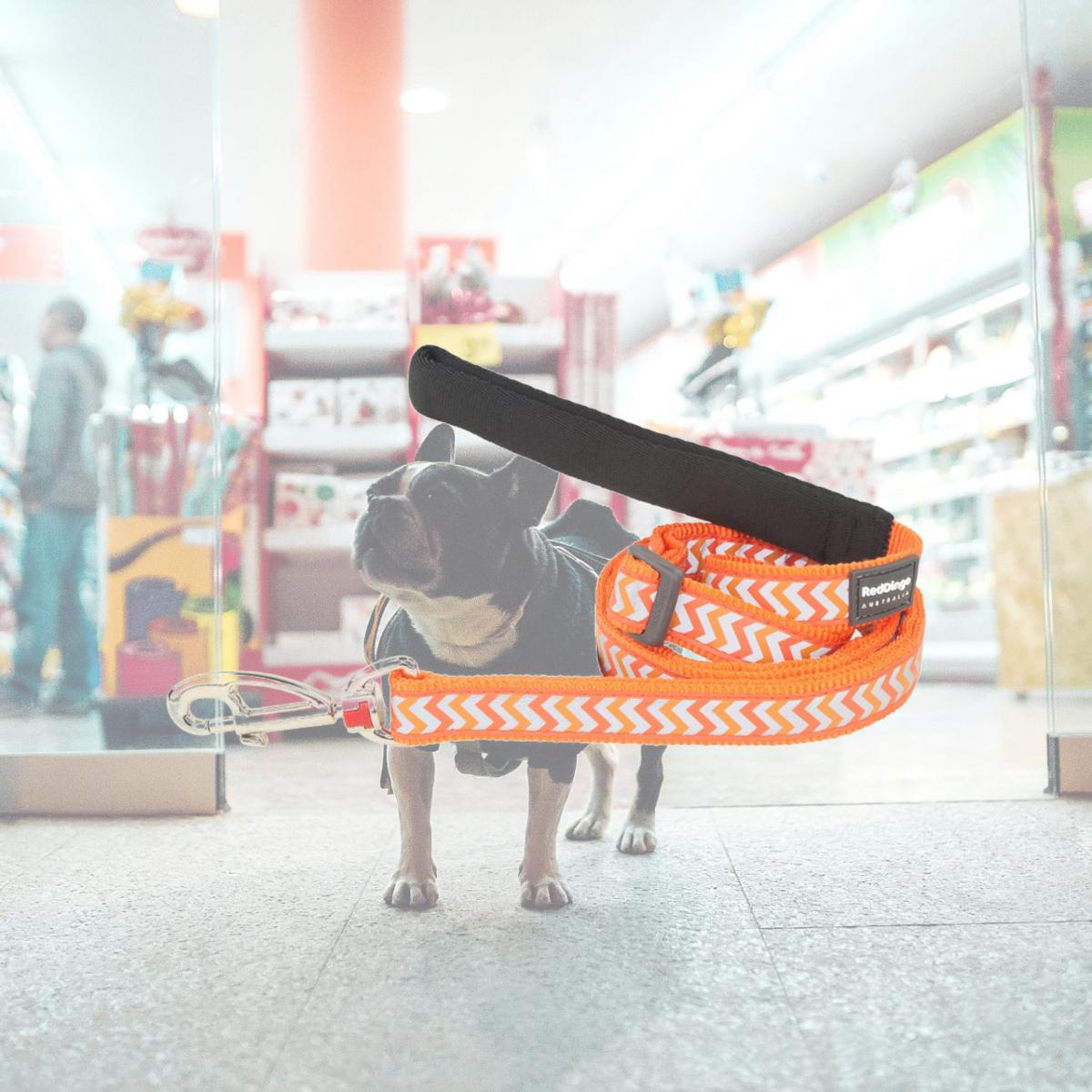 Picture of Red Dingo L6-RZ-OR-12 Dog Lead Reflective Ziggy Orange - Extra Small 6ft