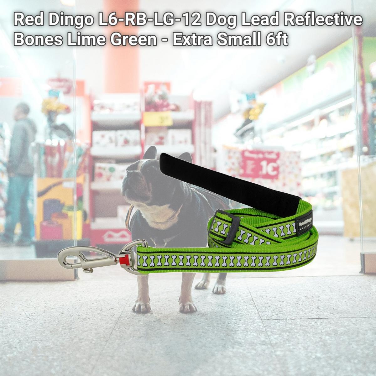 Picture of Red Dingo L6-RB-LG-12 Dog Lead Reflective Bones Lime Green - Extra Small 6ft