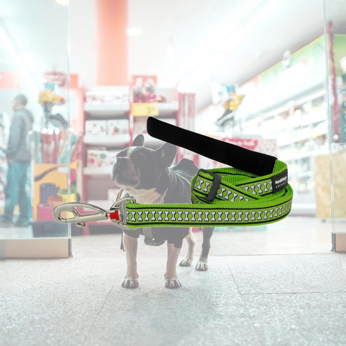 Picture of Red Dingo L6-RB-LG-12 Dog Lead Reflective Bones Lime Green - Extra Small 6ft