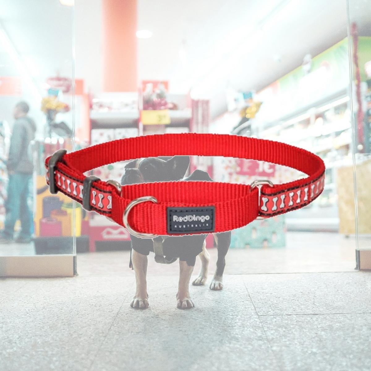 Picture of Red Dingo MC-RB-RE-25 Martingale Dog Collar Reflective Red- Large