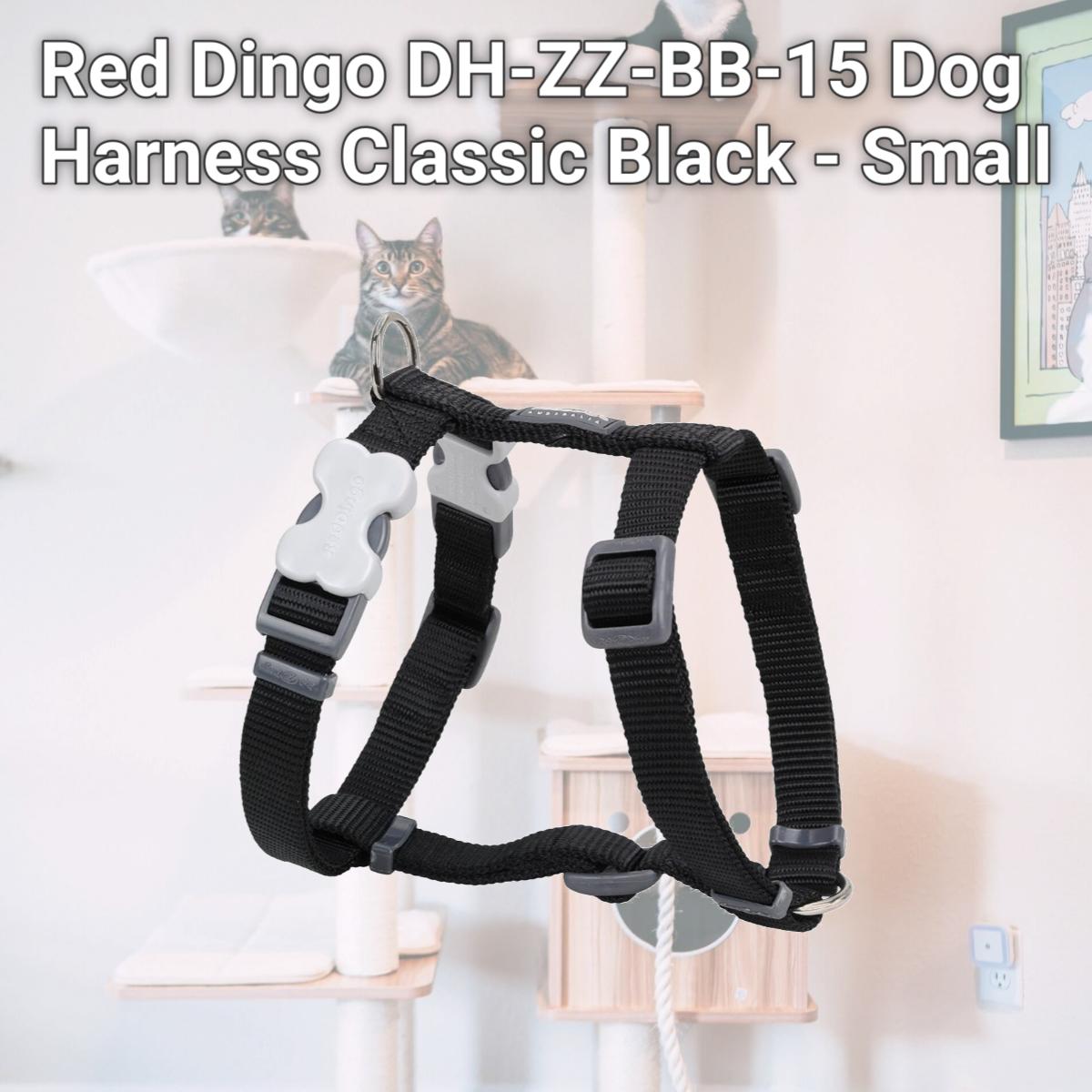 Picture of Red Dingo DH-ZZ-BB-15 Dog Harness Classic Black - Small