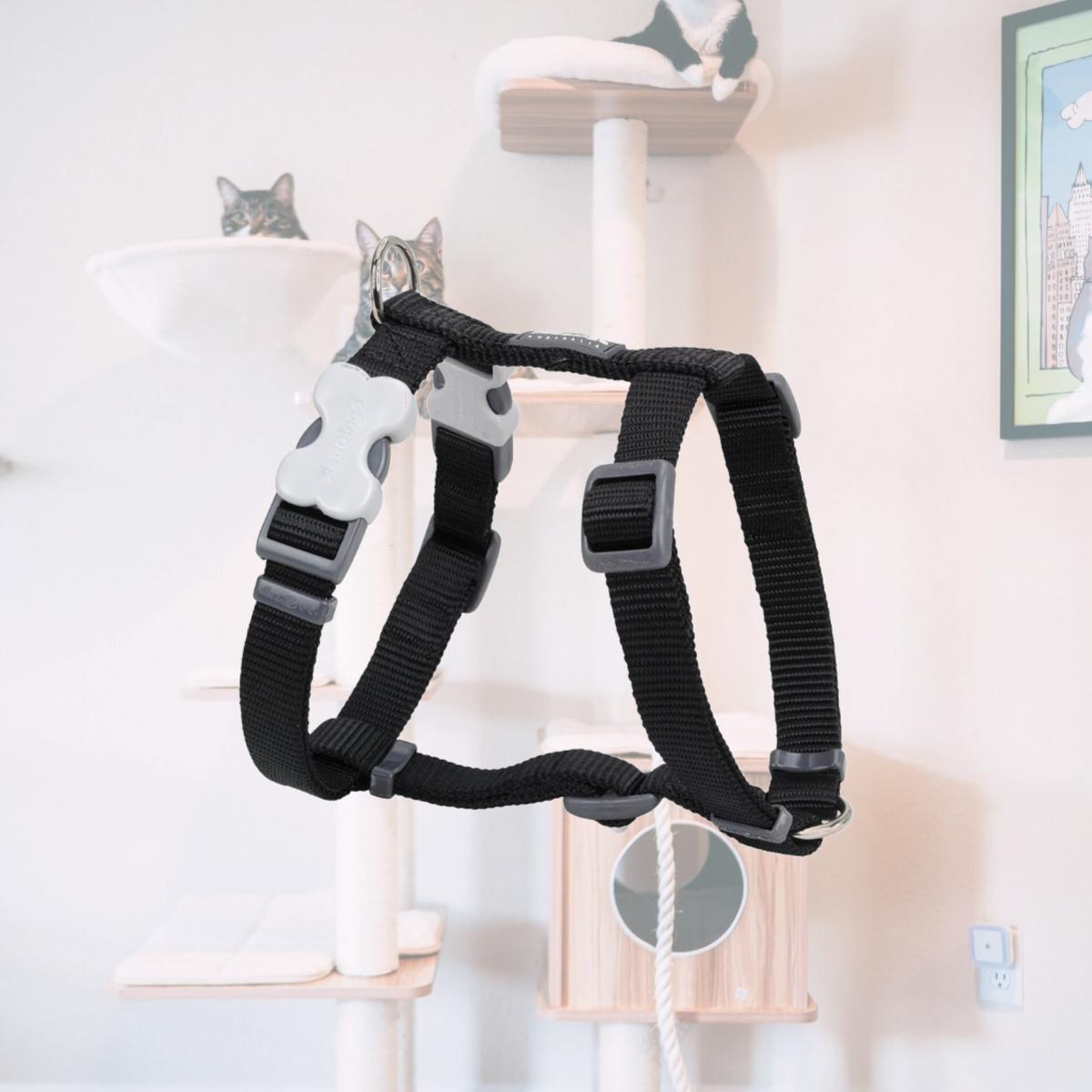 Picture of Red Dingo DH-ZZ-BB-15 Dog Harness Classic Black - Small