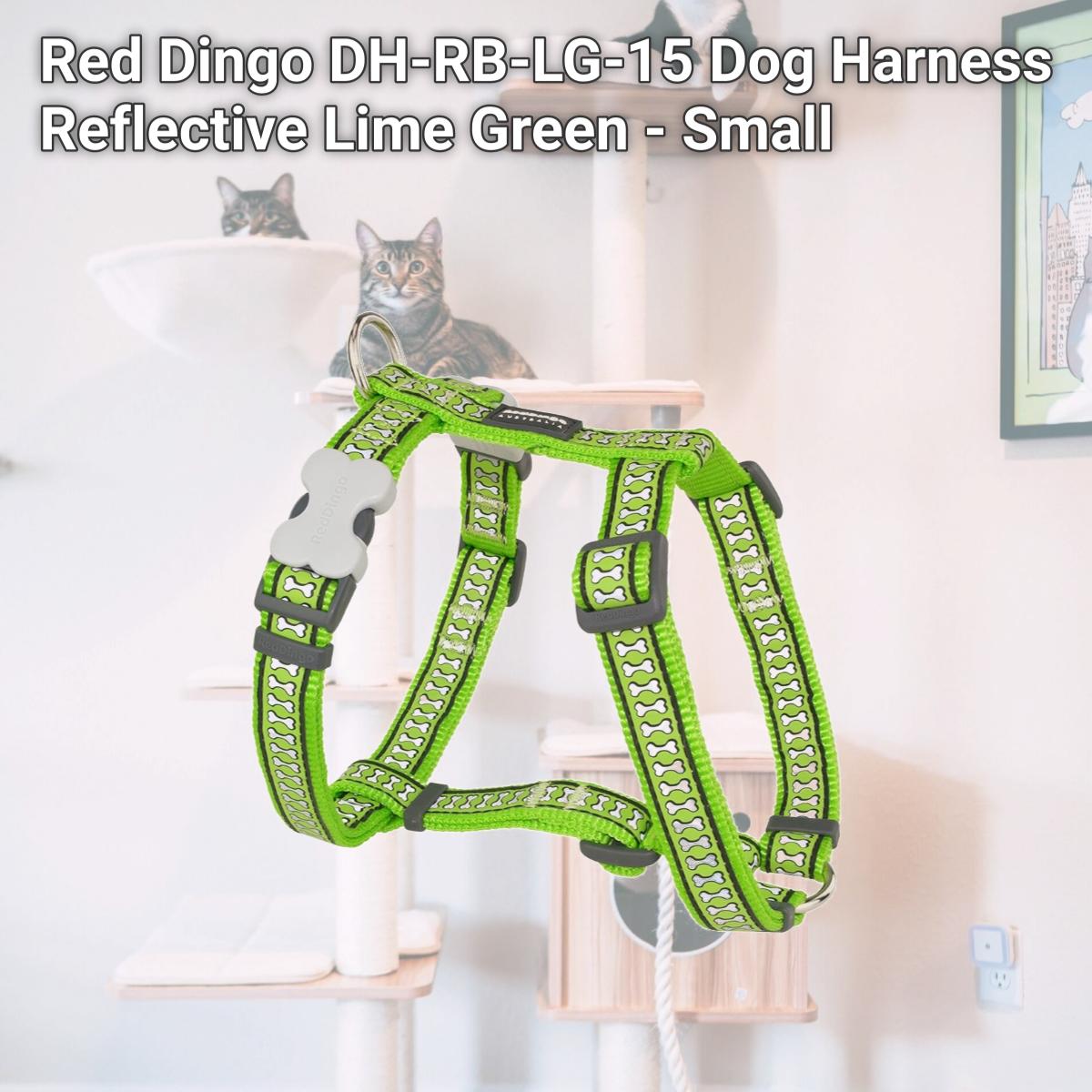Picture of Red Dingo DH-RB-LG-15 Dog Harness Reflective Lime Green - Small