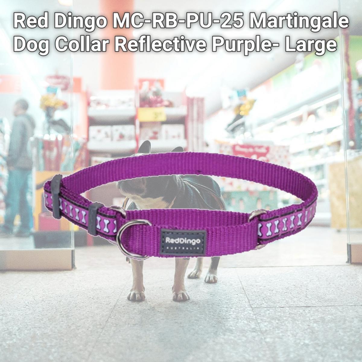 Picture of Red Dingo MC-RB-PU-25 Martingale Dog Collar Reflective Purple- Large