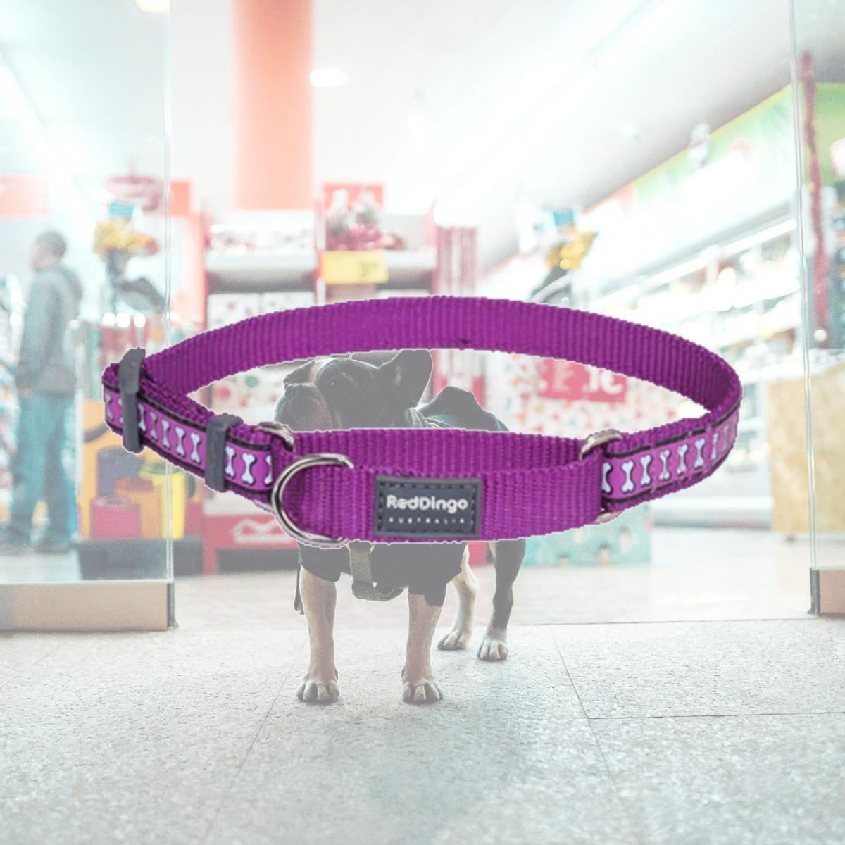 Picture of Red Dingo MC-RB-PU-25 Martingale Dog Collar Reflective Purple- Large
