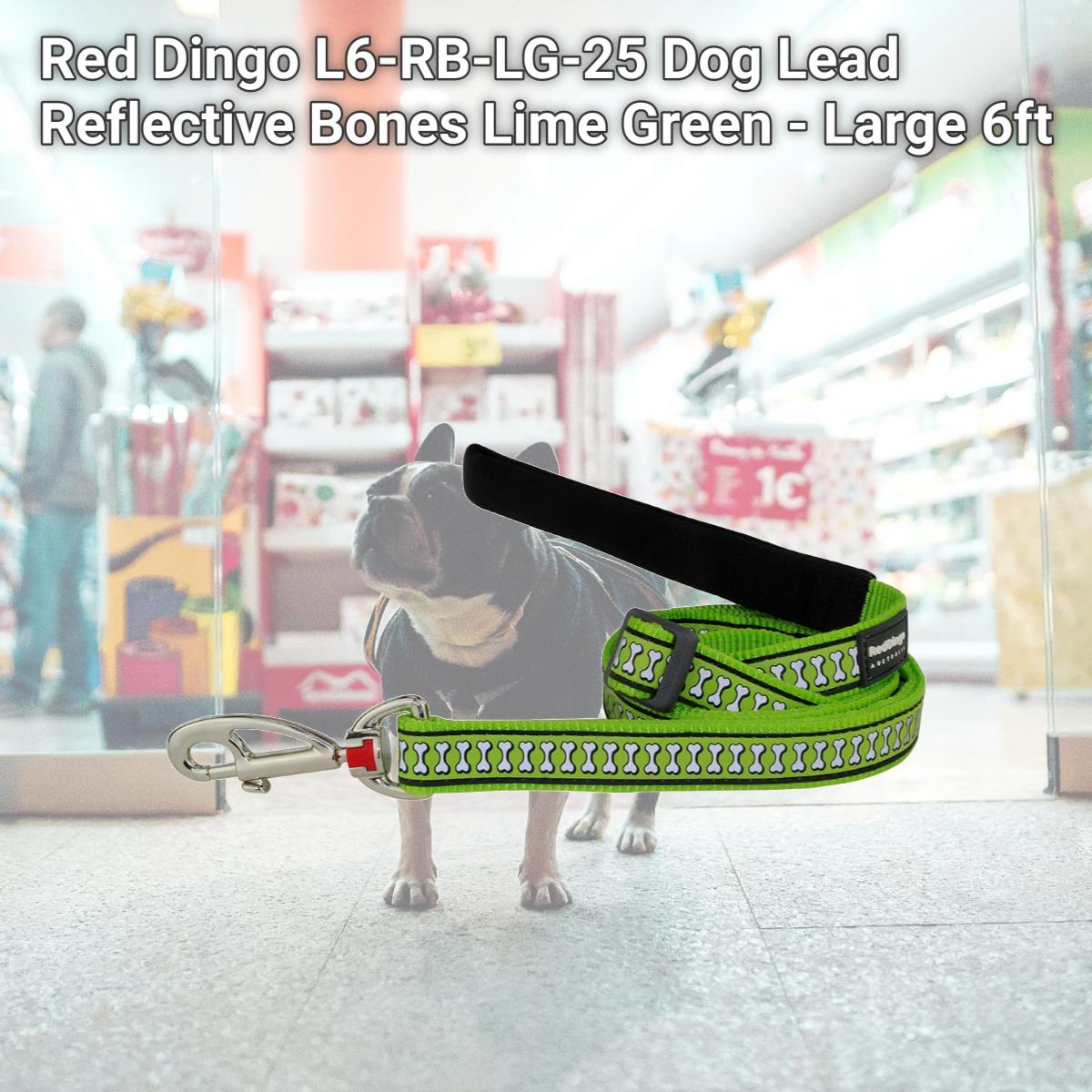 Picture of Red Dingo L6-RB-LG-25 Dog Lead Reflective Bones Lime Green - Large 6ft