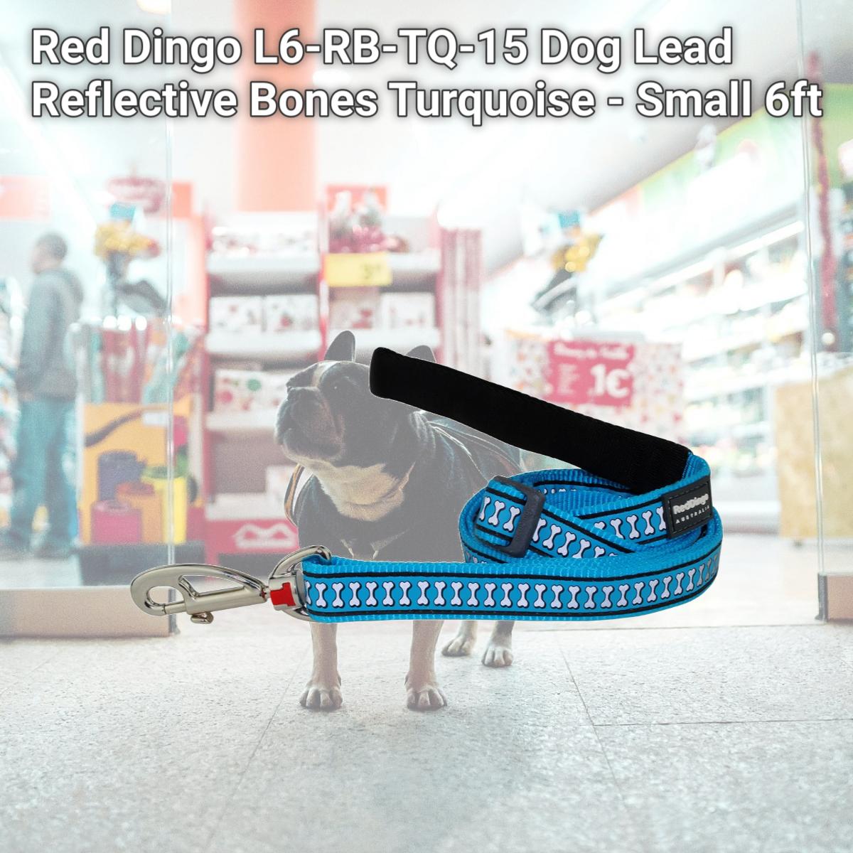 Picture of Red Dingo L6-RB-TQ-15 Dog Lead Reflective Bones Turquoise - Small 6ft