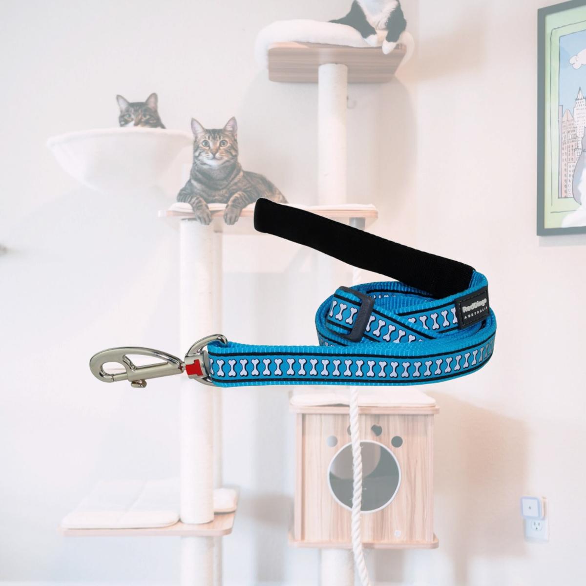 Picture of Red Dingo L6-RB-TQ-15 Dog Lead Reflective Bones Turquoise - Small 6ft