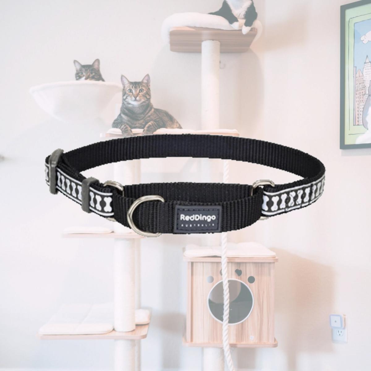 Picture of Red Dingo MC-RB-BB-25 Martingale Dog Collar Reflective Black- Large