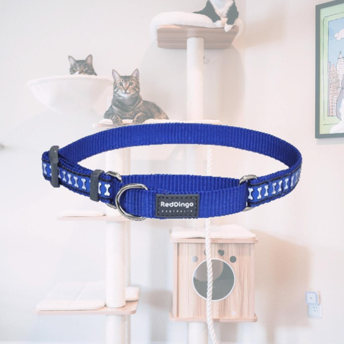 Picture of Red Dingo MC-RB-DB-25 Martingale Dog Collar Reflective Dark Blue- Large