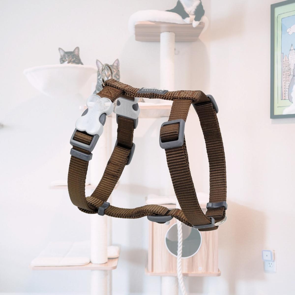 Picture of Red Dingo DH-ZZ-BR-15 Dog Harness Classic Brown - Small