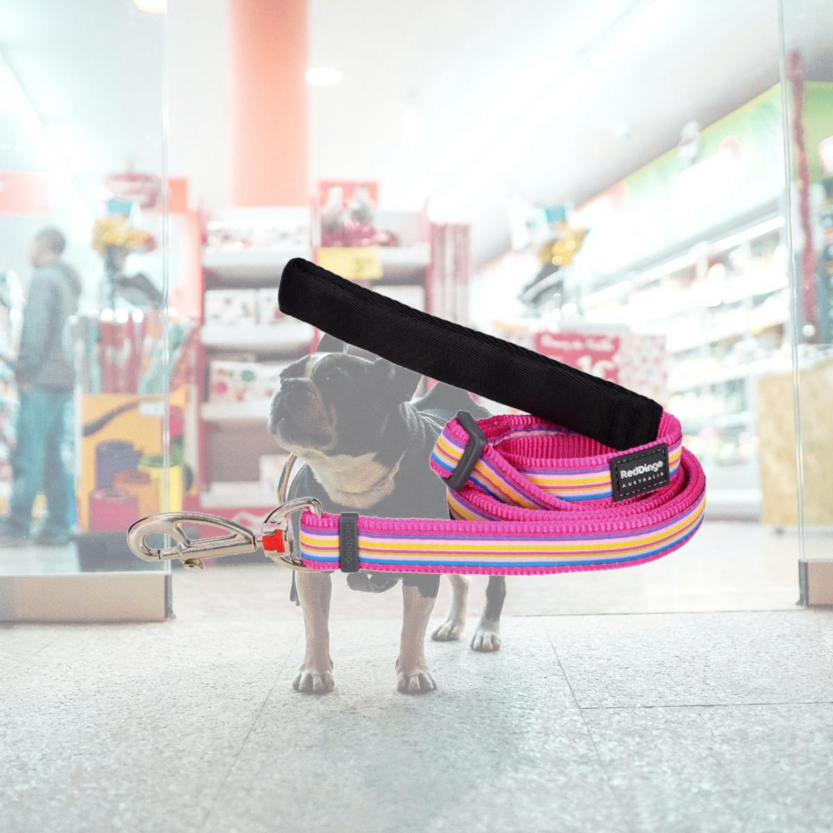 Picture of Red Dingo L6-HO-HP-12 Dog Lead Design Horizontal Stripes Hot Pink - Extra Small 6ft