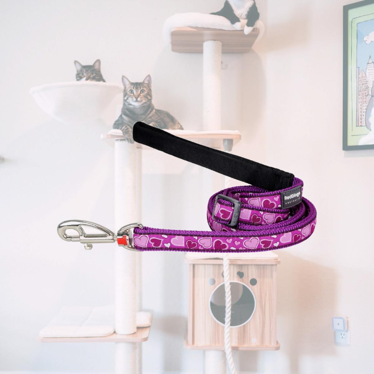 Picture of Red Dingo L6-BZ-PU-15 Dog Lead Design Breezy Love Purple - Small 6ft