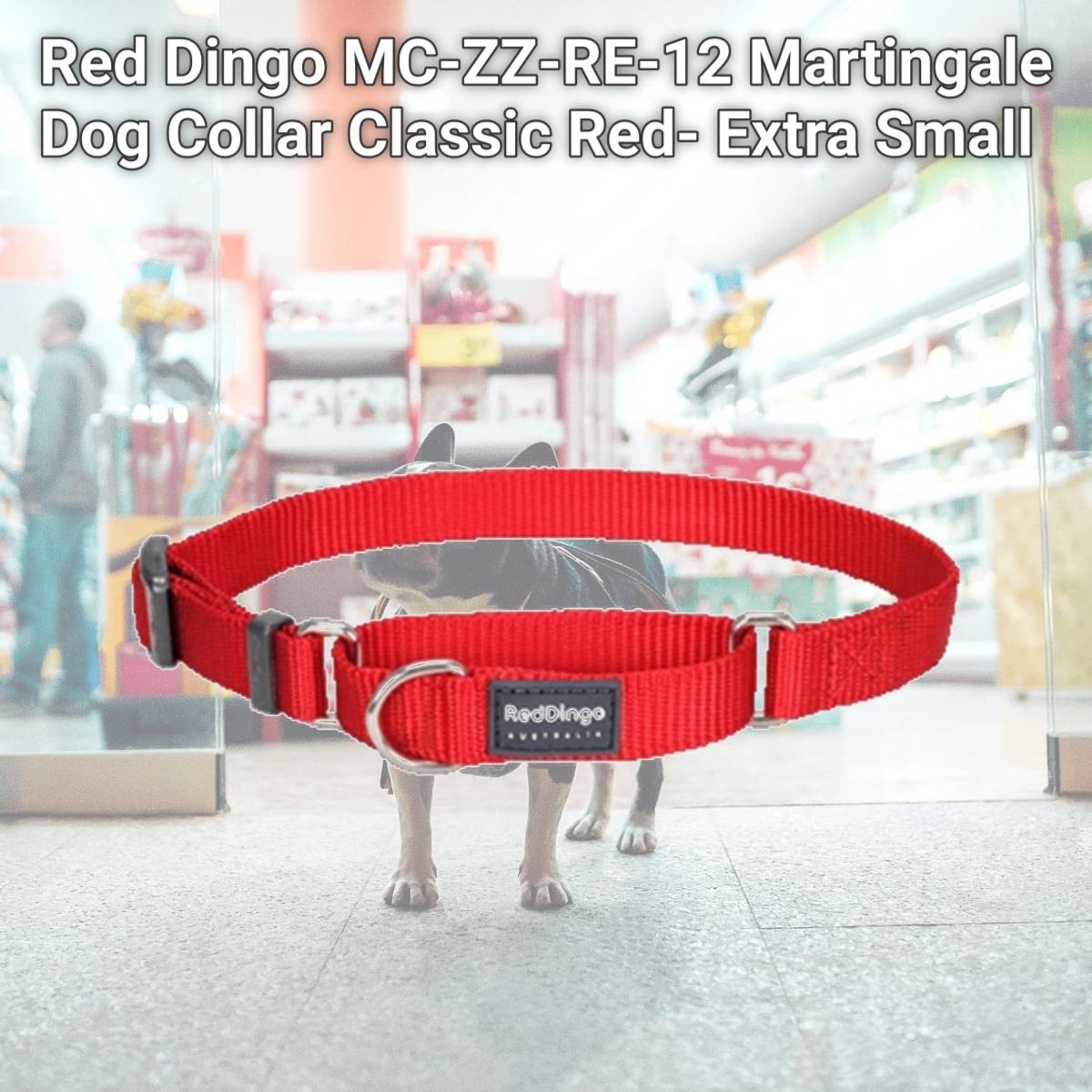 Picture of Red Dingo MC-ZZ-RE-12 Martingale Dog Collar Classic Red- Extra Small