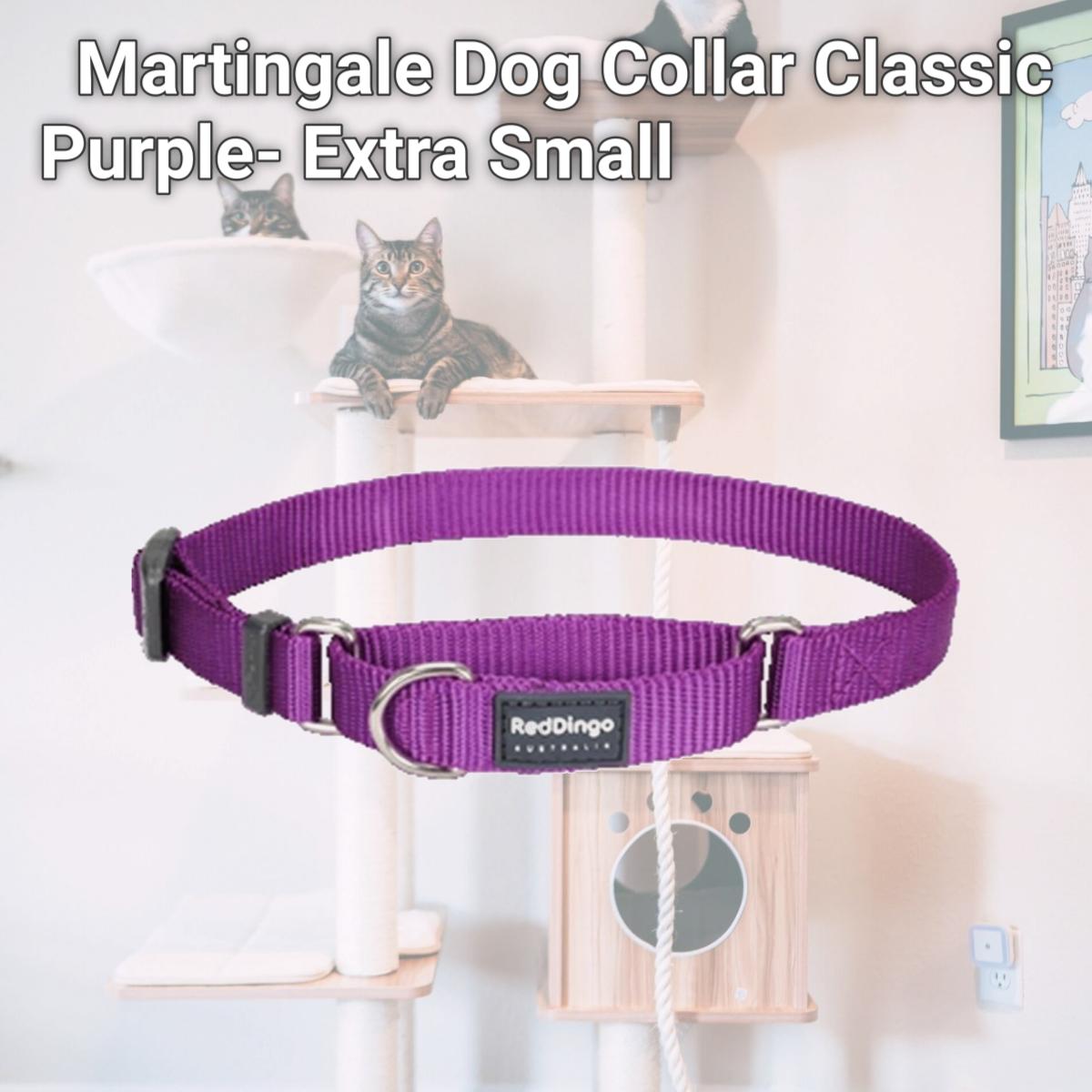 Picture of Red Dingo MC-ZZ-PU-12 Martingale Dog Collar Classic Purple- Extra Small