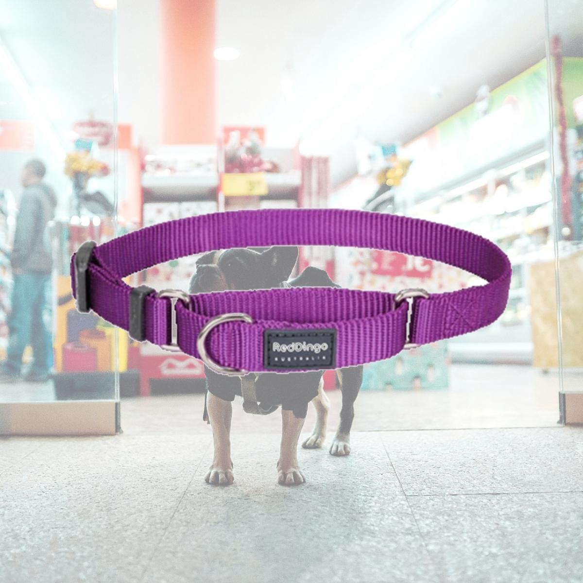 Picture of Red Dingo MC-ZZ-PU-12 Martingale Dog Collar Classic Purple- Extra Small