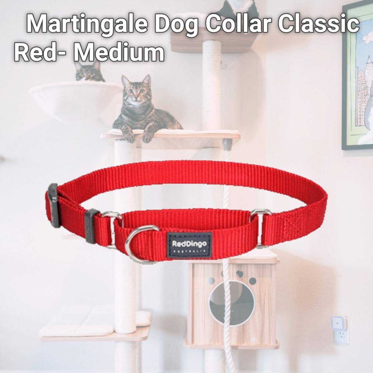 Picture of Red Dingo MC-ZZ-RE-20 Martingale Dog Collar Classic Red- Medium