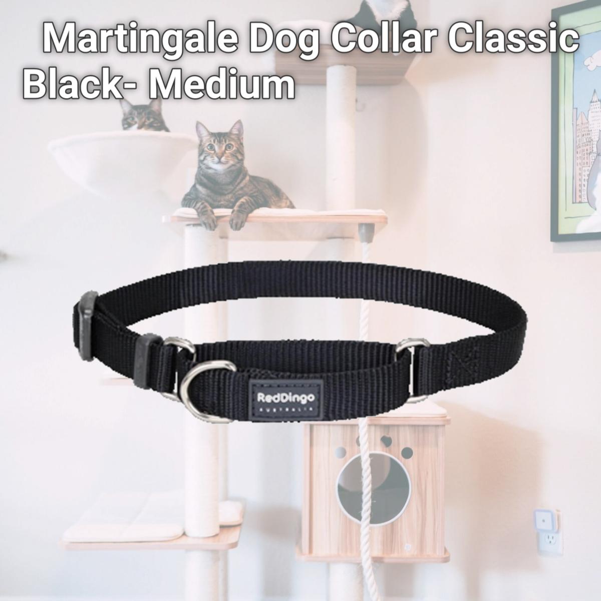 Picture of Red Dingo MC-ZZ-BB-20 Martingale Dog Collar Classic Black- Medium