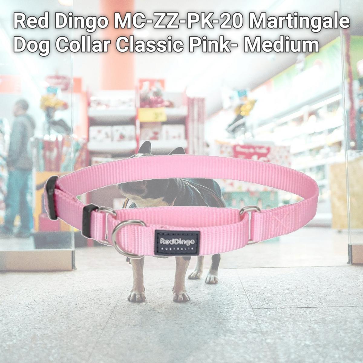 Picture of Red Dingo MC-ZZ-PK-20 Martingale Dog Collar Classic Pink- Medium