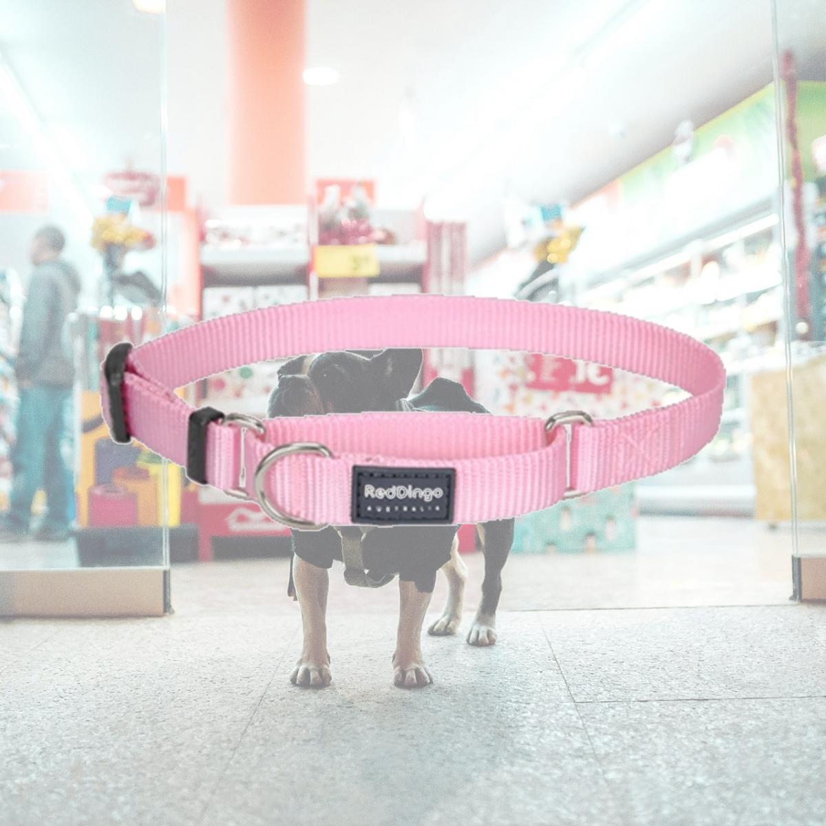 Picture of Red Dingo MC-ZZ-PK-20 Martingale Dog Collar Classic Pink- Medium