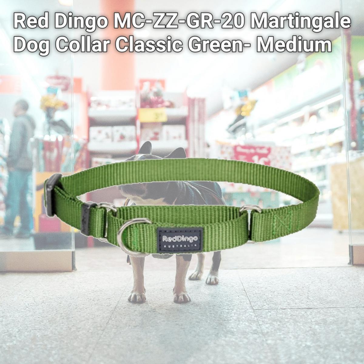 Picture of Red Dingo MC-ZZ-GR-20 Martingale Dog Collar Classic Green- Medium
