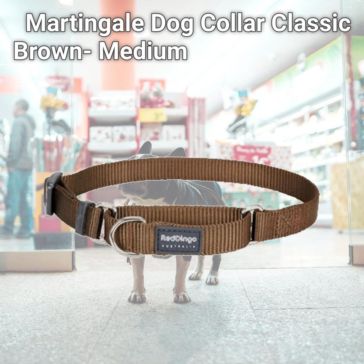 Picture of Red Dingo MC-ZZ-BR-20 Martingale Dog Collar Classic Brown- Medium