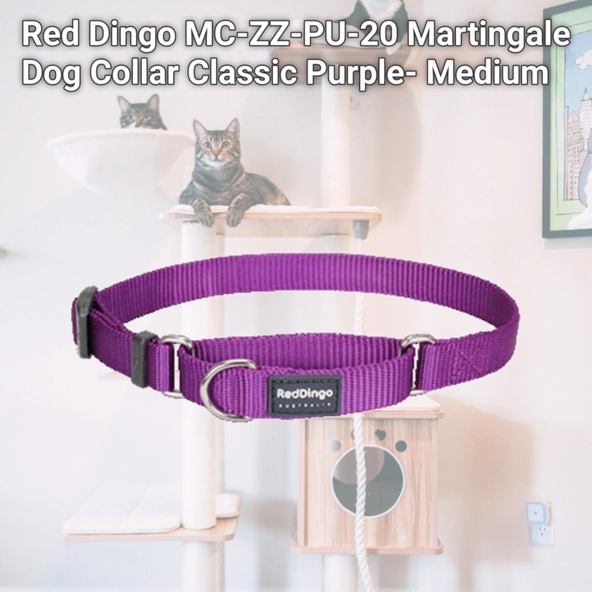 Picture of Red Dingo MC-ZZ-PU-20 Martingale Dog Collar Classic Purple- Medium