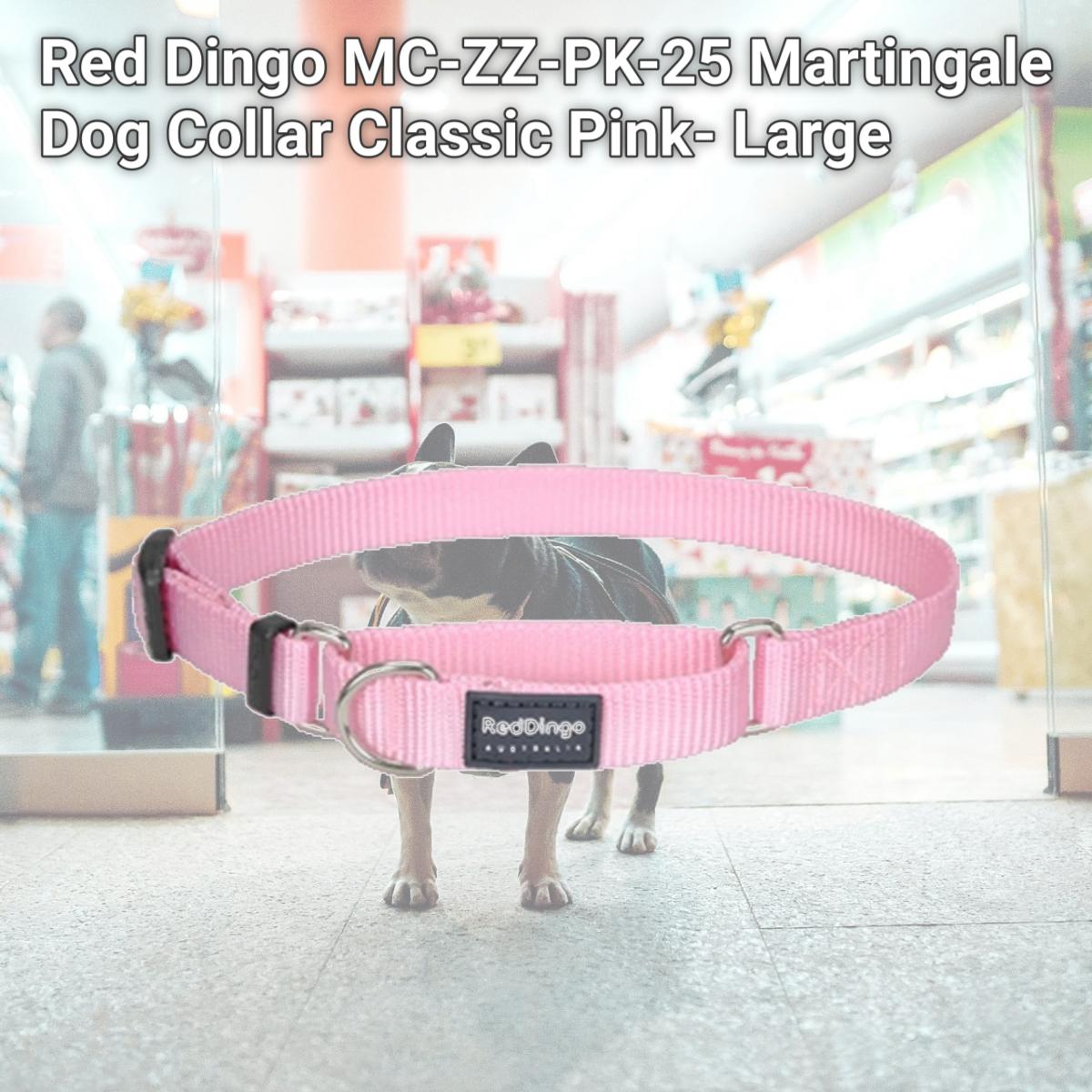 Picture of Red Dingo MC-ZZ-PK-25 Martingale Dog Collar Classic Pink- Large