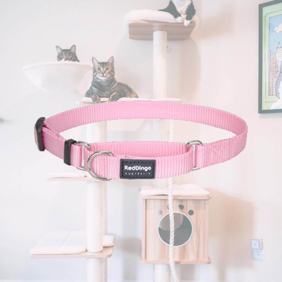 Picture of Red Dingo MC-ZZ-PK-25 Martingale Dog Collar Classic Pink- Large