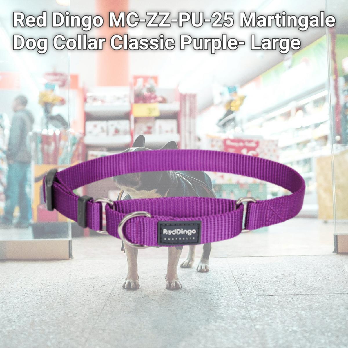 Picture of Red Dingo MC-ZZ-PU-25 Martingale Dog Collar Classic Purple- Large