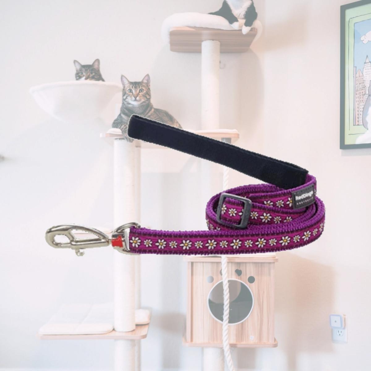 Picture of Red Dingo L6-DC-PU-12 Dog Lead Design Daisy Chain Purple- Extra Small