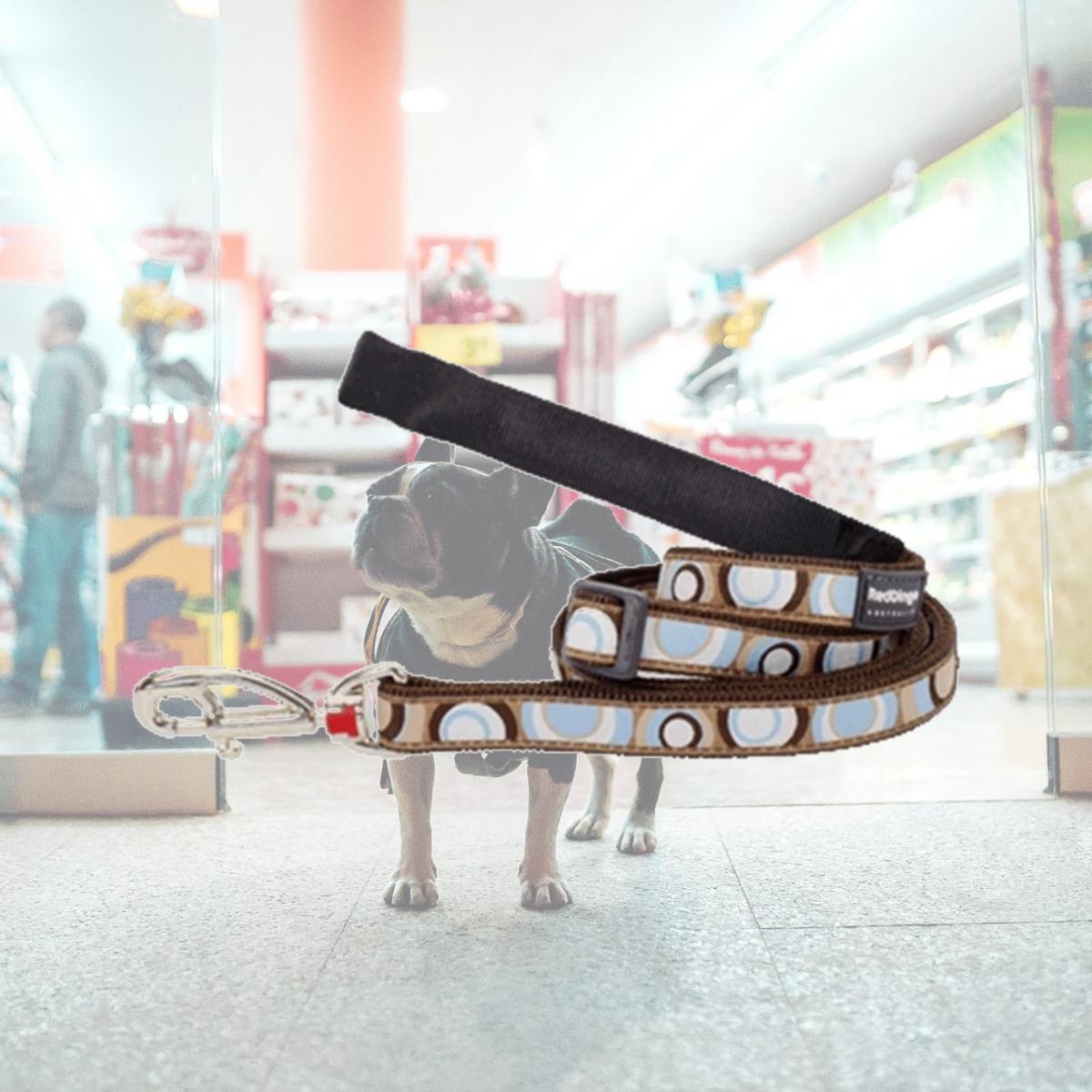 Picture of Red Dingo L6-CI-BR-12 Dog Lead Design Circadelic Brown- Extra Small