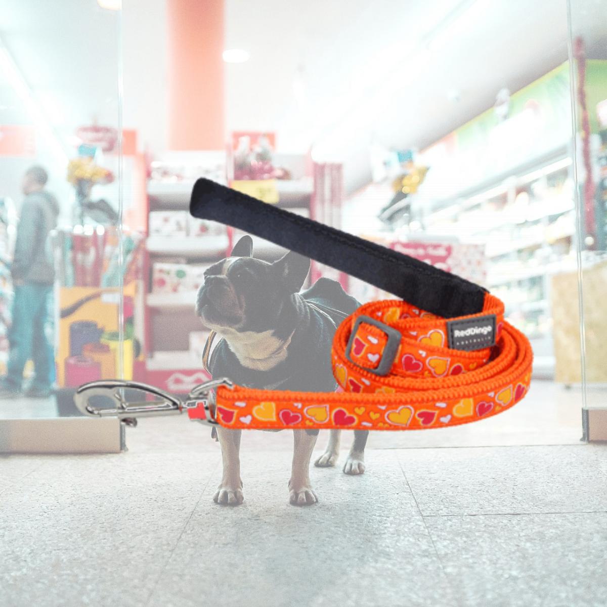 Picture of Red Dingo L6-BZ-OR-12 Dog Lead Design Breezy Love Orange- Extra Small