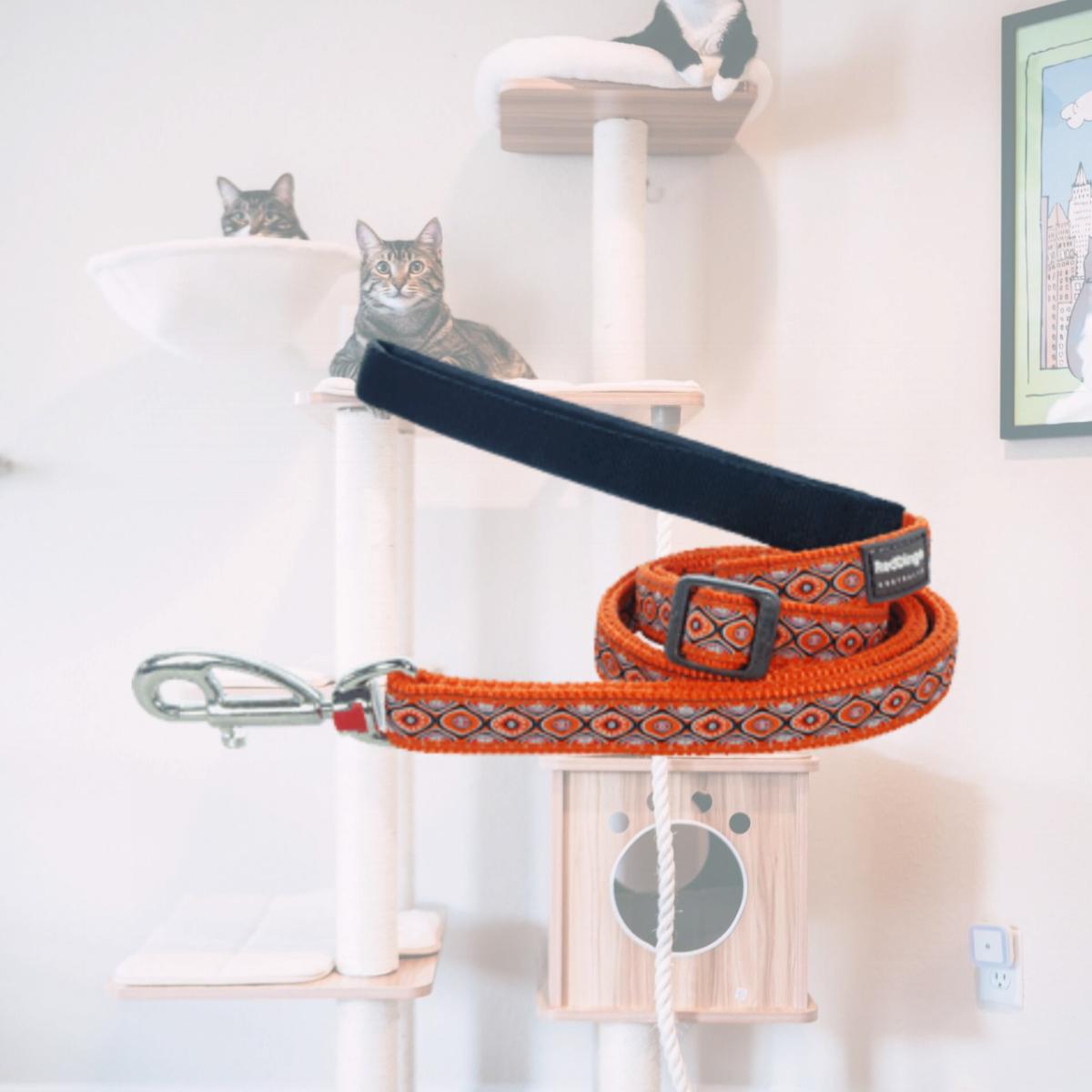 Picture of Red Dingo L6-SE-OR-12 Dog Lead Design Snake Eyes Orange- Extra Small