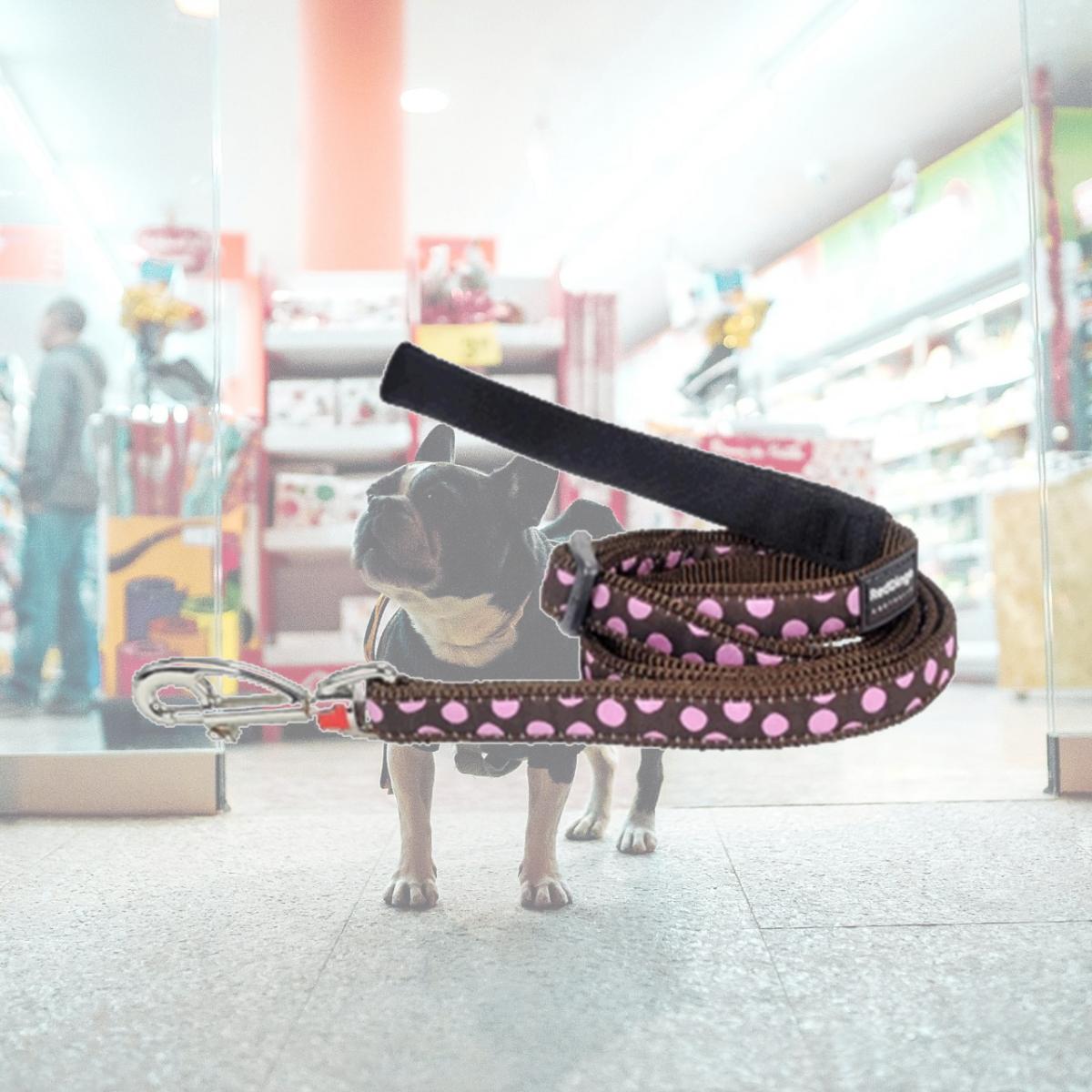 Picture of Red Dingo L6-S1-BR-12 Dog Lead Design Pink Dots on Brown- Extra Small