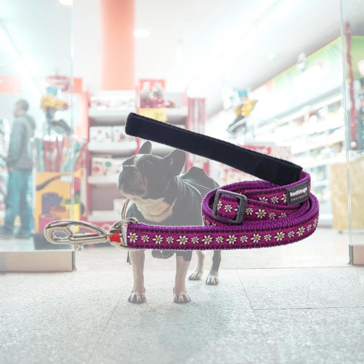 Picture of Red Dingo L6-DC-PU-20 Dog Lead Design Daisy Chain Purple- Medium