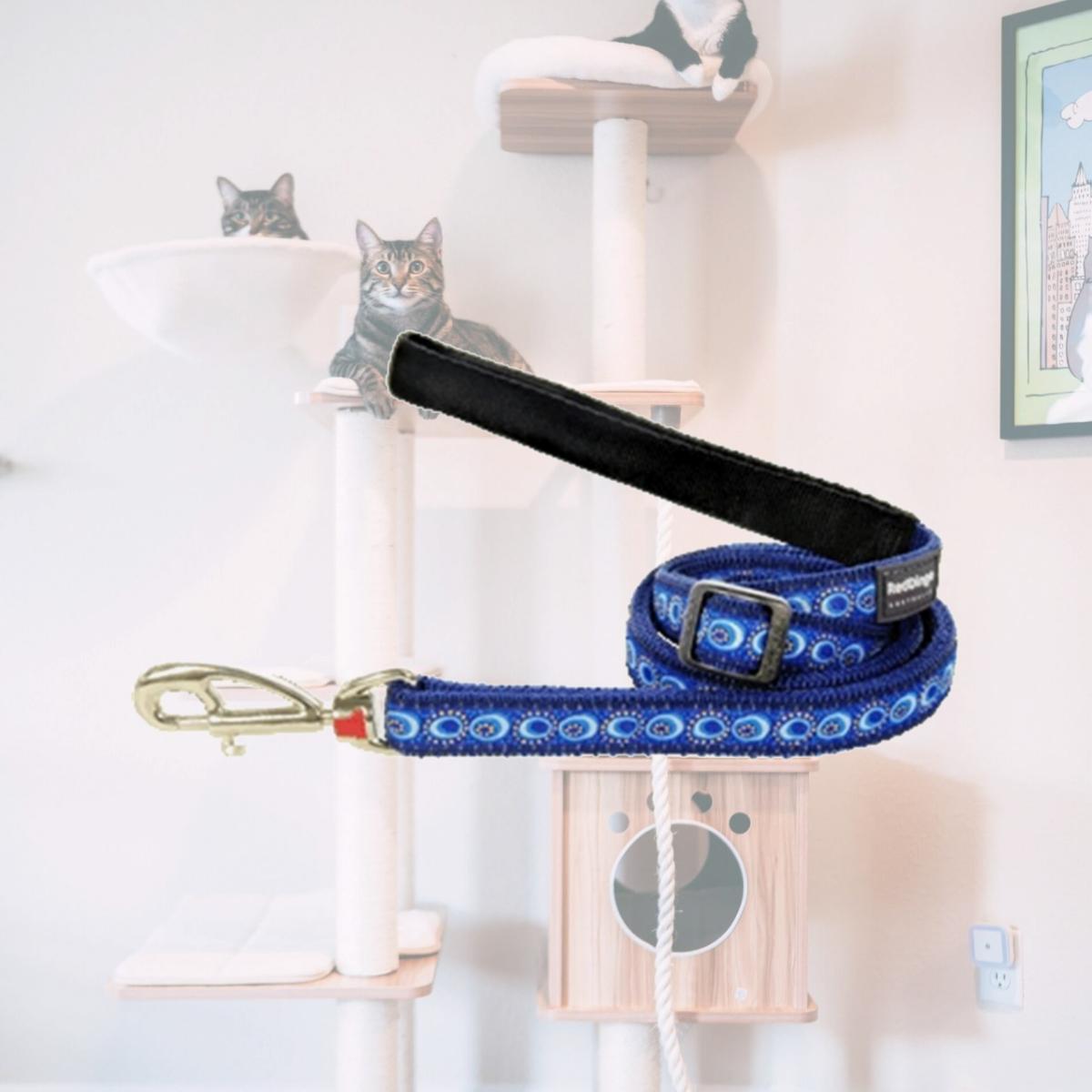 Picture of Red Dingo L6-CO-DB-20 Dog Lead Design Cosmos Dark Blue- Medium