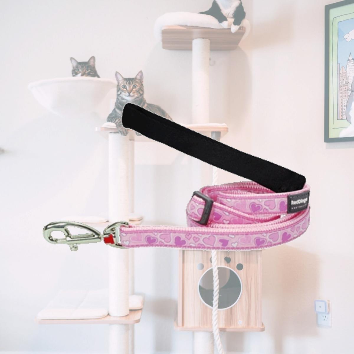 Picture of Red Dingo L6-BZ-PK-20 Dog Lead Design Breezy Love Pink- Medium