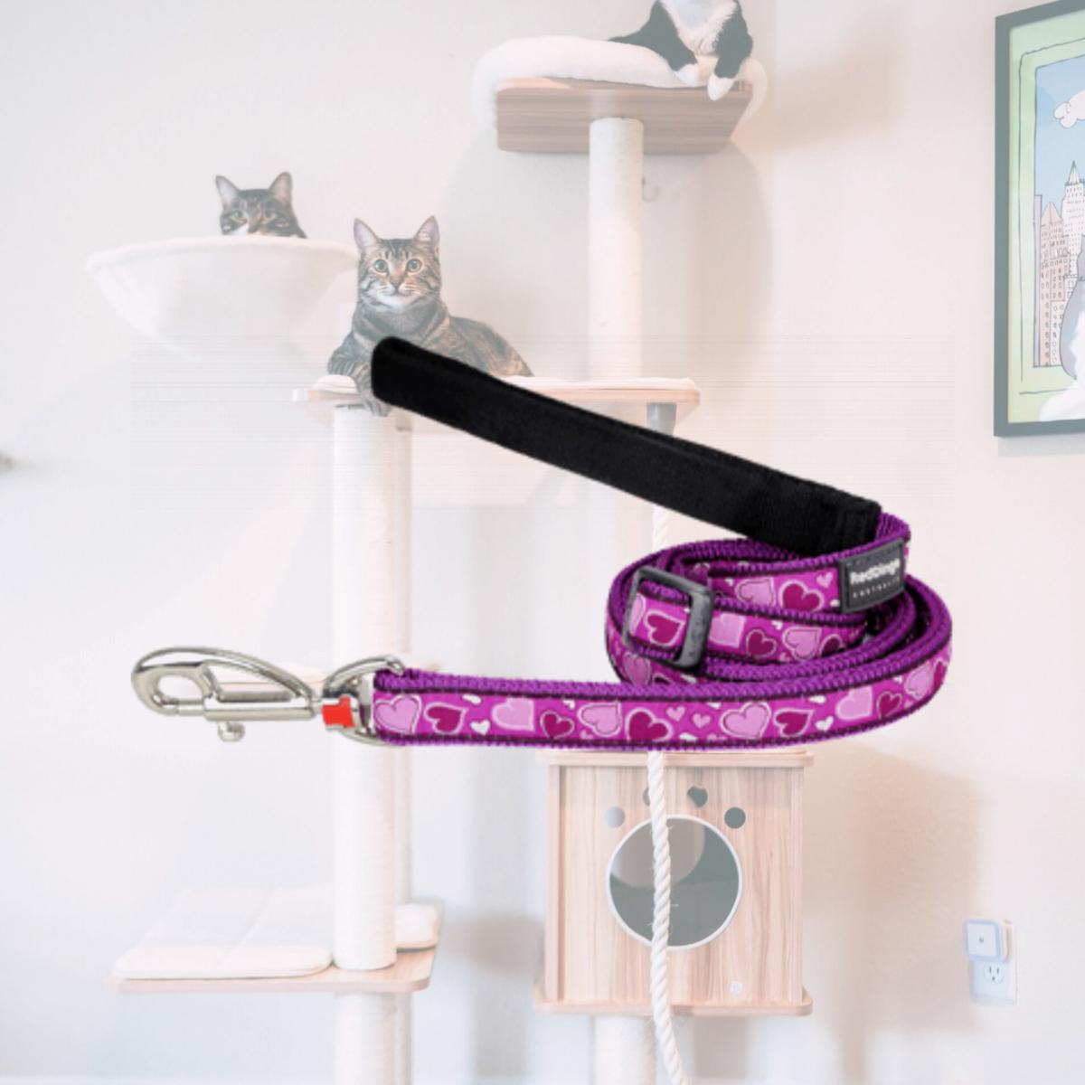Picture of Red Dingo L6-BZ-PU-20 Dog Lead Design Breezy Love Purple- Medium