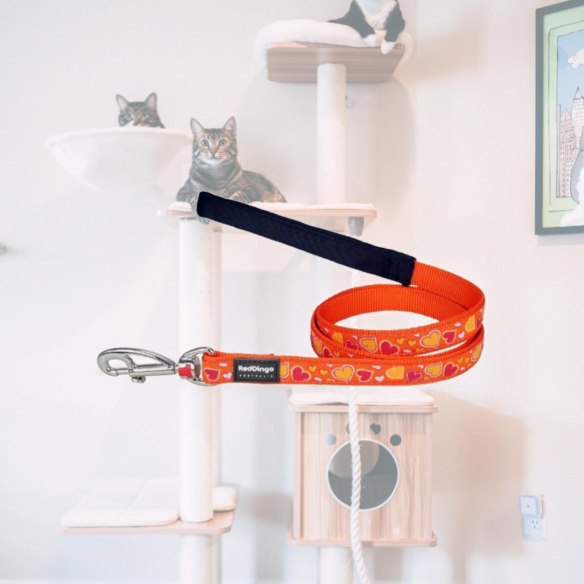 Picture of Red Dingo L6-BZ-OR-20 Dog Lead Design Breezy Love Orange- Medium