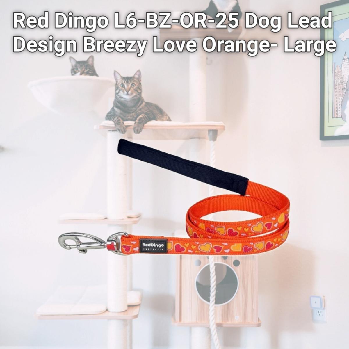 Picture of Red Dingo L6-BZ-OR-25 Dog Lead Design Breezy Love Orange- Large