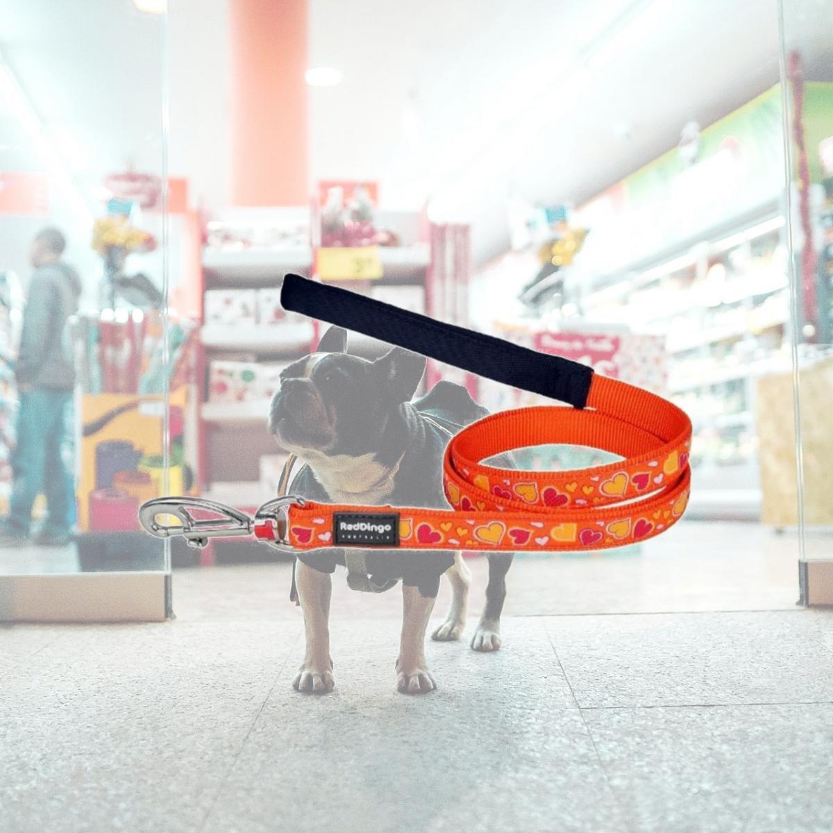 Picture of Red Dingo L6-BZ-OR-25 Dog Lead Design Breezy Love Orange- Large