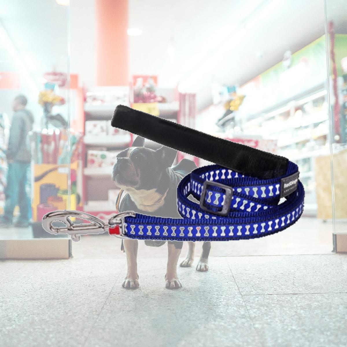 Picture of Red Dingo L6-RB-DB-12 Dog Lead Reflective Dark Blue- Extra  Small