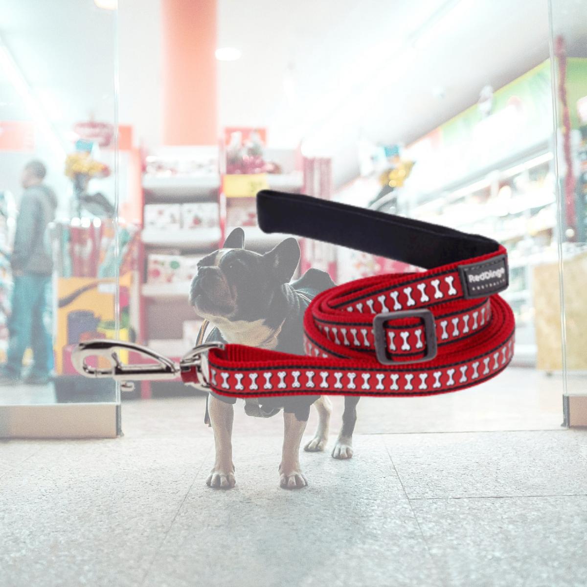 Picture of Red Dingo L6-RB-RE-12 Dog Lead Reflective Red- Extra Small