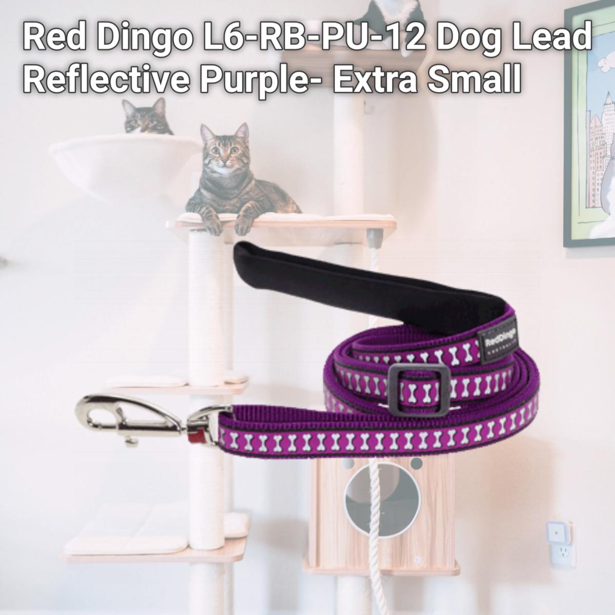 Picture of Red Dingo L6-RB-PU-12 Dog Lead Reflective Purple- Extra Small