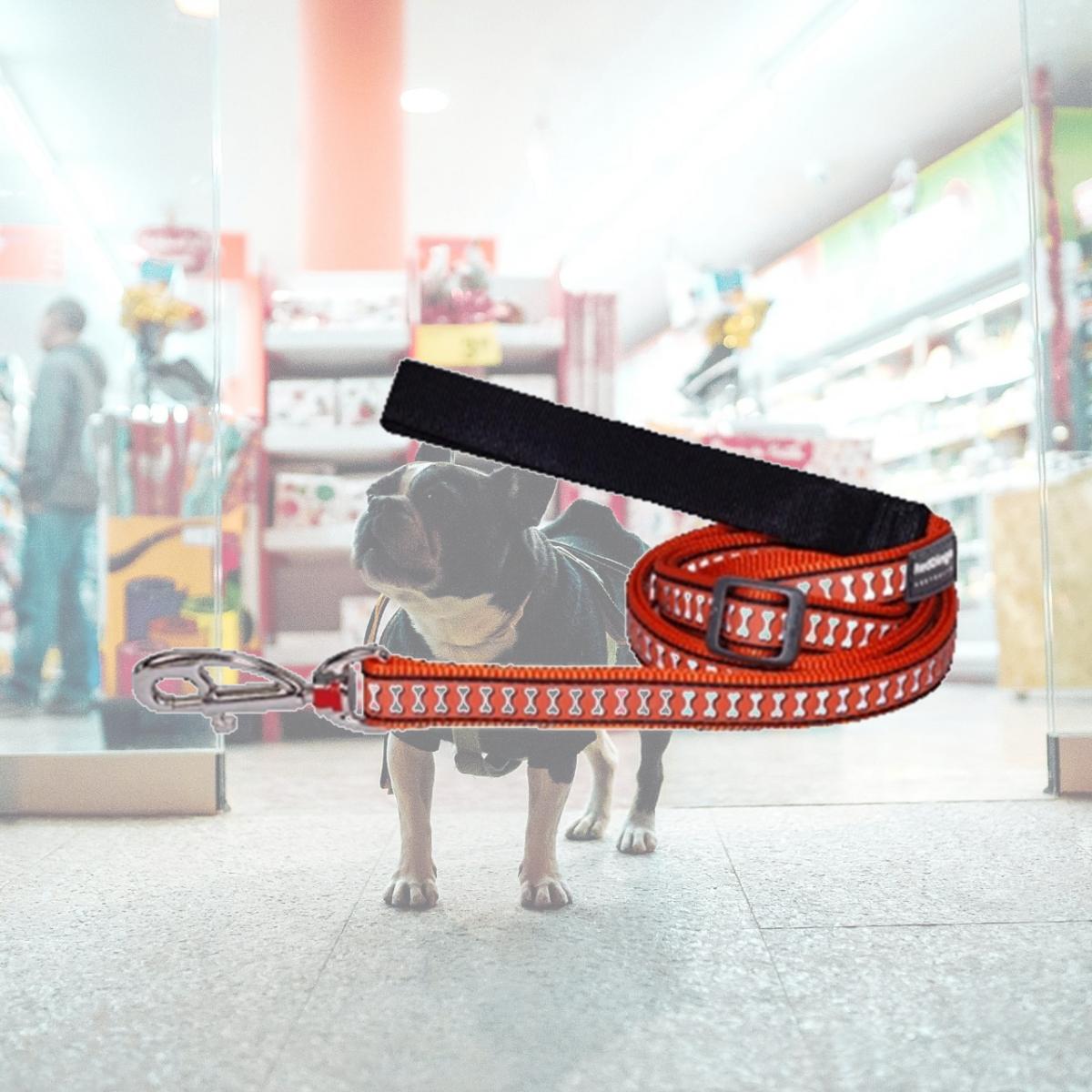 Picture of Red Dingo L6-RB-OR-12 Dog Lead Reflective Orange- Extra Small