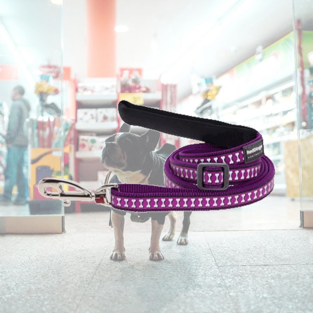 Picture of Red Dingo L6-RB-PU-20 Dog Lead Reflective Purple- Medium