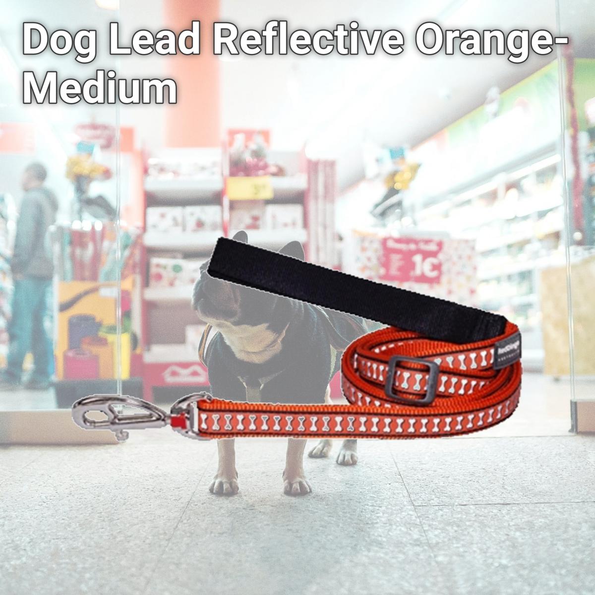 Picture of Red Dingo L6-RB-OR-20 Dog Lead Reflective Orange- Medium