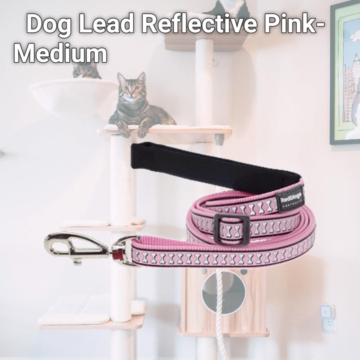 Picture of Red Dingo L6-RB-PK-20 Dog Lead Reflective Pink- Medium